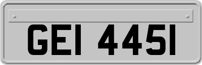 GEI4451