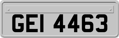 GEI4463