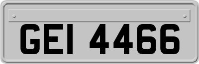 GEI4466