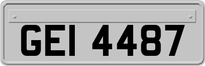 GEI4487