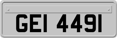 GEI4491
