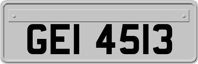 GEI4513