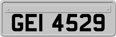 GEI4529