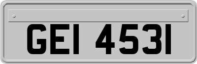 GEI4531
