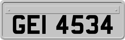 GEI4534