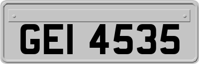 GEI4535