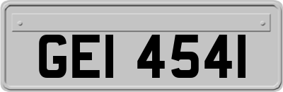 GEI4541