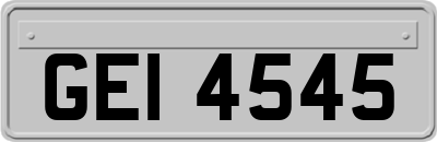 GEI4545