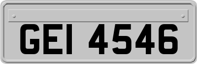 GEI4546