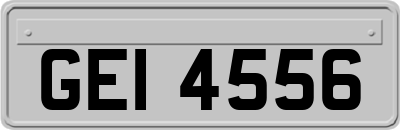 GEI4556