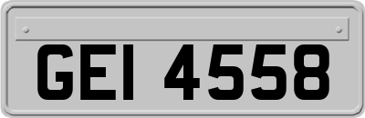 GEI4558