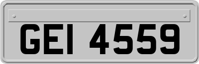 GEI4559
