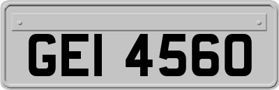 GEI4560