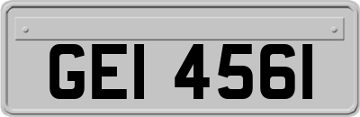 GEI4561