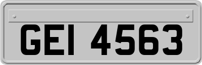 GEI4563