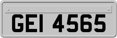 GEI4565