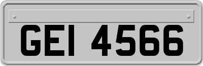 GEI4566