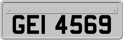 GEI4569