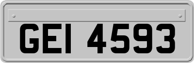 GEI4593