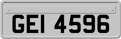 GEI4596