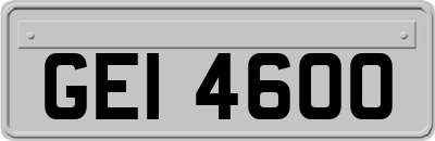 GEI4600