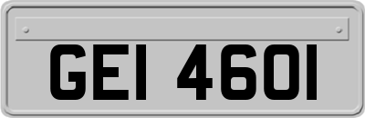 GEI4601