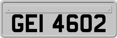 GEI4602