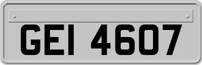 GEI4607