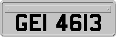 GEI4613