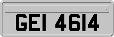 GEI4614
