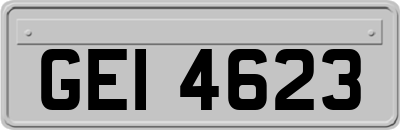 GEI4623