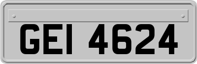 GEI4624