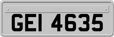 GEI4635
