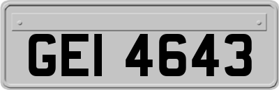 GEI4643