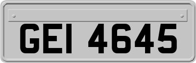 GEI4645