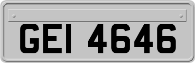 GEI4646