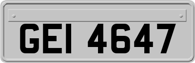 GEI4647