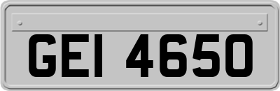 GEI4650