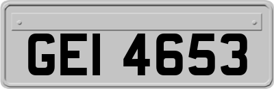 GEI4653