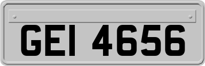 GEI4656
