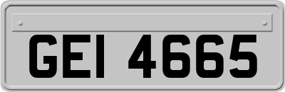 GEI4665