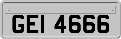 GEI4666