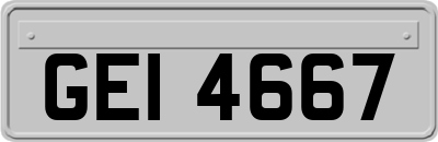 GEI4667