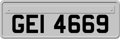 GEI4669