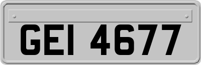 GEI4677