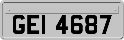 GEI4687