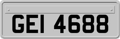 GEI4688