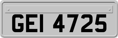 GEI4725
