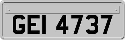 GEI4737