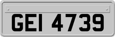 GEI4739